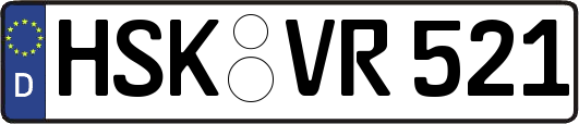 HSK-VR521