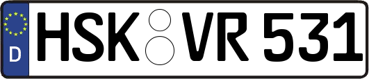 HSK-VR531