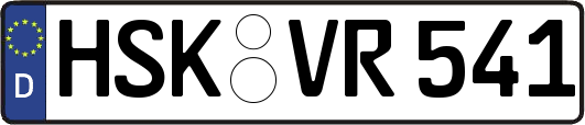 HSK-VR541