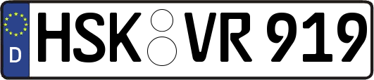 HSK-VR919