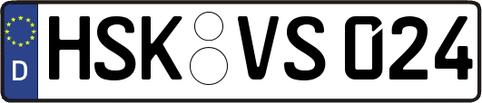 HSK-VS024