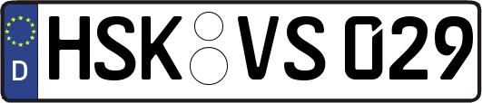 HSK-VS029