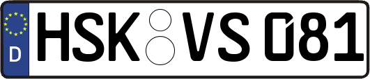 HSK-VS081