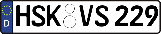 HSK-VS229