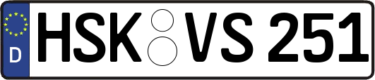 HSK-VS251
