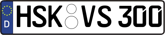 HSK-VS300