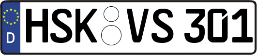 HSK-VS301
