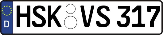 HSK-VS317