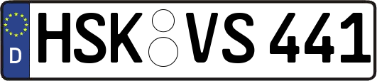 HSK-VS441