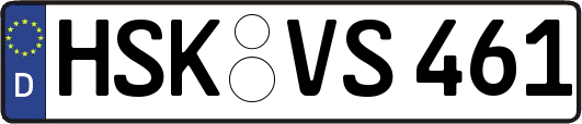 HSK-VS461