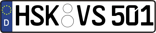 HSK-VS501