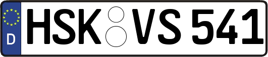 HSK-VS541
