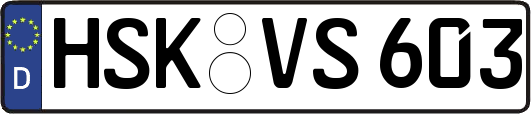 HSK-VS603