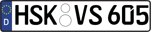 HSK-VS605