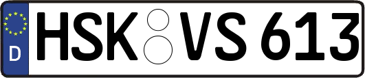 HSK-VS613