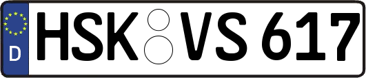 HSK-VS617