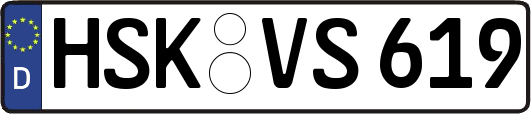 HSK-VS619