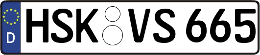 HSK-VS665