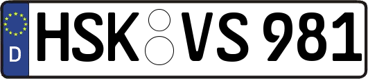 HSK-VS981
