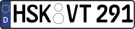 HSK-VT291