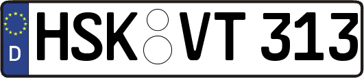 HSK-VT313