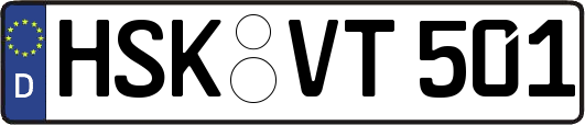 HSK-VT501