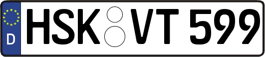 HSK-VT599