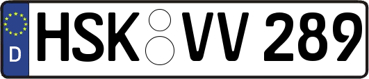 HSK-VV289
