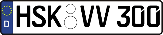 HSK-VV300