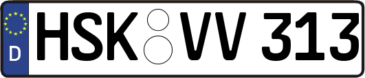 HSK-VV313