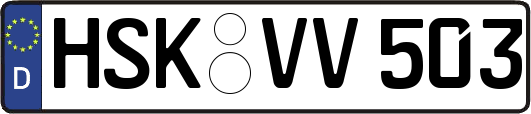 HSK-VV503