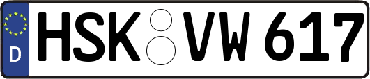 HSK-VW617