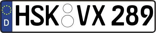 HSK-VX289