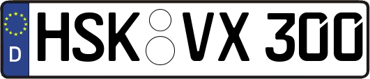 HSK-VX300