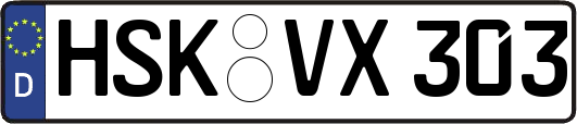 HSK-VX303