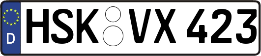 HSK-VX423