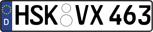 HSK-VX463