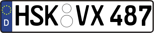 HSK-VX487
