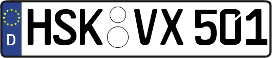 HSK-VX501