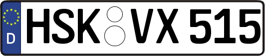HSK-VX515