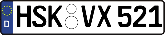 HSK-VX521