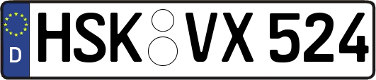 HSK-VX524
