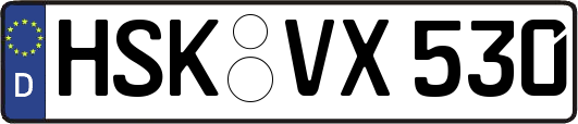 HSK-VX530