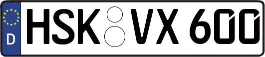 HSK-VX600