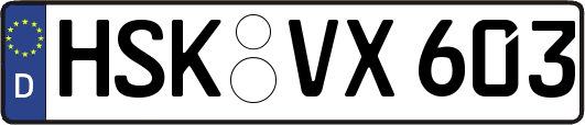 HSK-VX603
