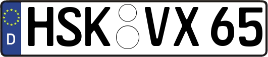 HSK-VX65