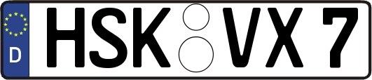 HSK-VX7