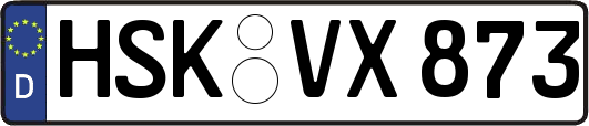 HSK-VX873