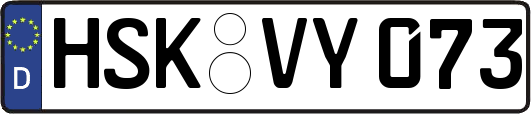 HSK-VY073