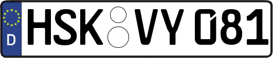 HSK-VY081